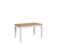 MINI  bialy_craft 1A0001.jpg